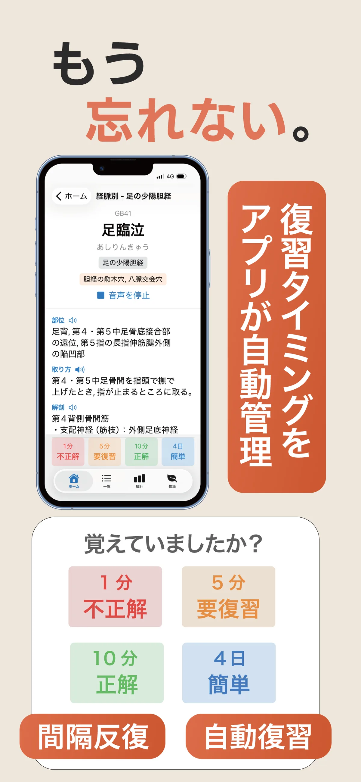もう忘れない - 間隔反復