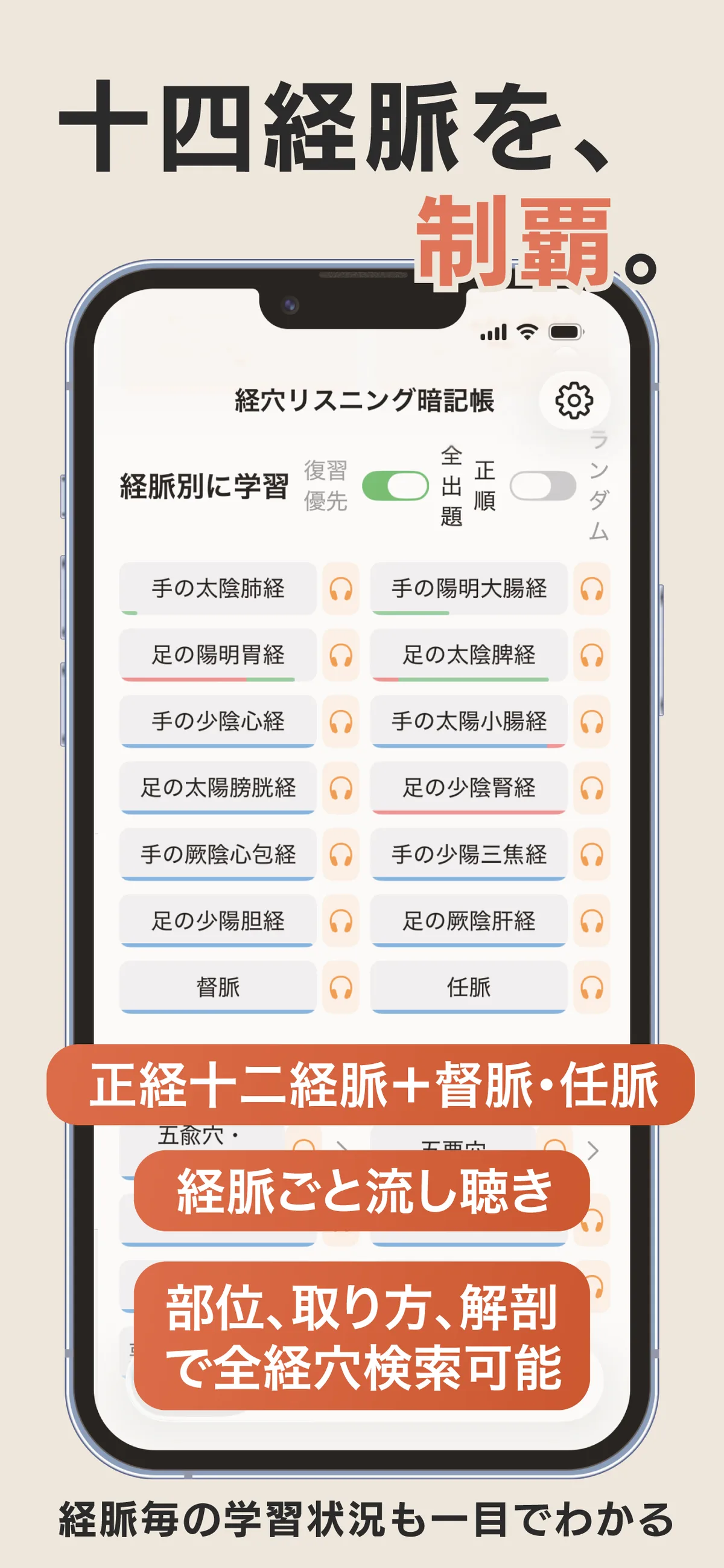十四経脈を制覇 - 経脈別学習